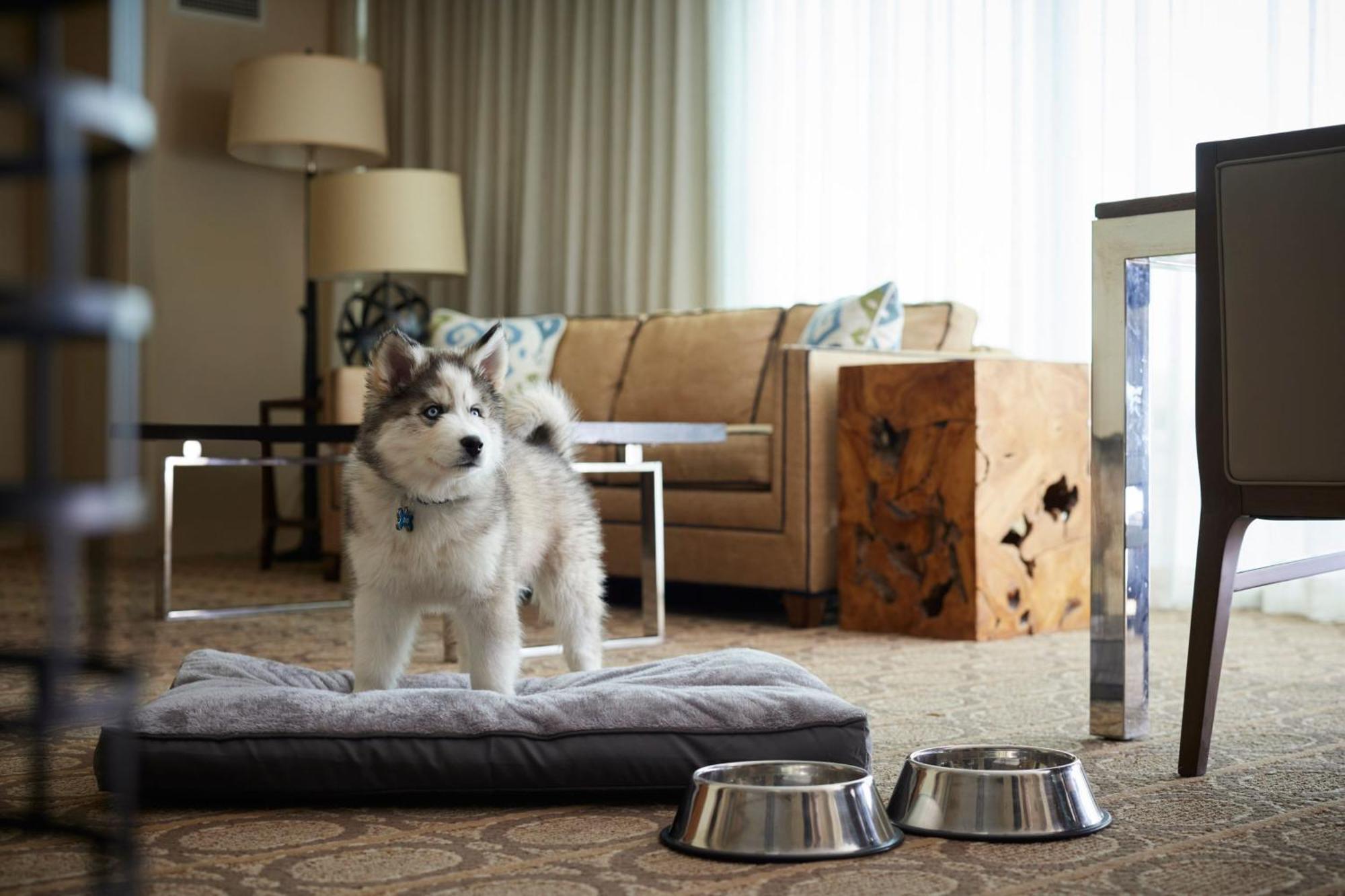Denver Marriott Уестминстър Екстериор снимка